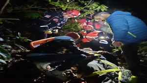 Rize'de ineği için indiği uçurumda rahatsızlanan kişi kurtarıldı