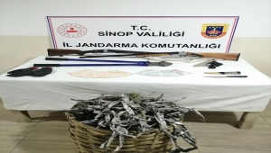 Sinop'ta kablo hırsızlığı operasyonunda 5 zanlı yakalandı