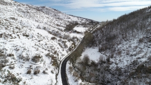 Tekirdağ'da beyaza bürünen ormanlar drone ile görüntülendi 