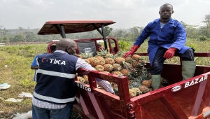 TİKA'dan Kamerun'da tarımsal üretime destek