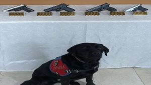 Trabzonspor maçının ardından havaya ateş ettikleri videoyu paylaşan kişiler yakalandı