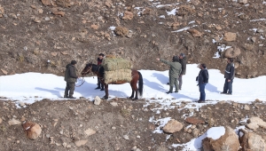 Van'da yaban keçileri için Pagan Dağı'na atlarla ot taşıdılar