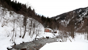 "Yeşil Dağ Kayağı Türkiye Şampiyonası" ile doğanın önemi anlatılacak