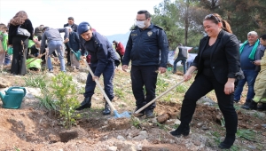 Adana'da orman yangınında zarar gören alana 2 bin 22 fidan dikildi 