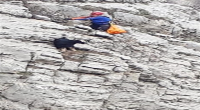 Adıyaman'da kayalıklarda mahsur kalan keçi AFAD ekiplerince kurtarıldı