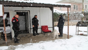 Amasya'da karda ıslanan köpek polis noktasına sığındı
