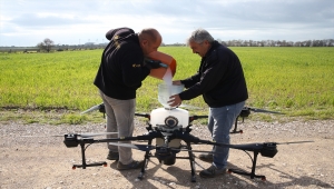 Antalya'daki buğday tarlası insansız hava araçları ile gübrelendi