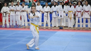 Budokaido Kumite ve Kata Türkiye Şampiyonası Sakarya'da başladı