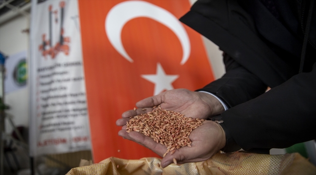 Erzurum'da çiftçilere tohum desteği verilmeye başlandı