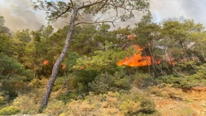 Fethiye'de orman yangını çıktı