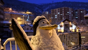 Gümüşhane'de kar yağışı etkisini sürdürüyor