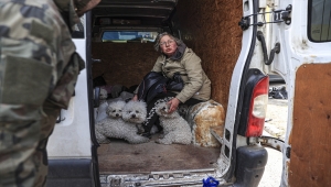 İrpin'den tahliye edilen Ukraynalı kadın 24 köpeği de Kiev'e getirdi