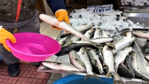 Karadeniz'deki kötü hava koşulları balıkçılığı olumsuz etkiledi