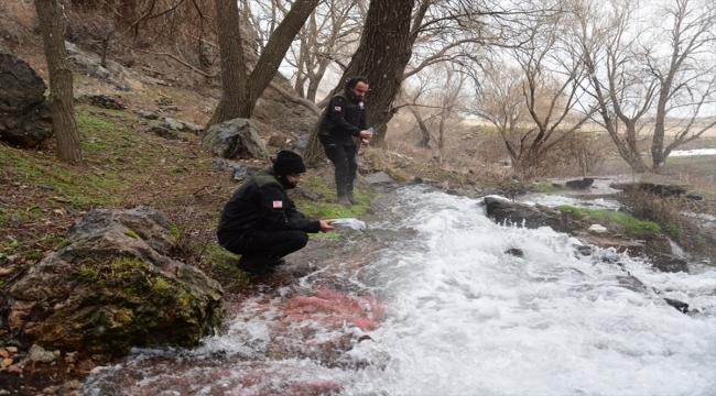 Kayseri'de Ağcaşar Baraj Gölü'nde toplu balık ölümleri iddiası