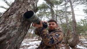Nesli tükenme tehlikesi altındaki çizgili sırtlan, yavrusuyla görüntülendi