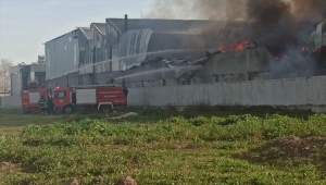 Osmaniye'de geri dönüşüm fabrikasında çıkan yangına müdahale ediliyor 