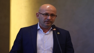 Su maymunları Edirne'deki çeltik arazilerine zarar veriyor