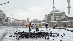 Taksim Meydanı'ndaki güvercinlere Beyoğlu Belediyesince yem verildi 