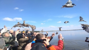 Tekirdağ'da avcılar tarafından gölete bin ördek salındı