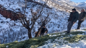 Tunceli'de geçen yıl kaçak avlanan 115 kişiye 777 bin 77 lira ceza uygulandı