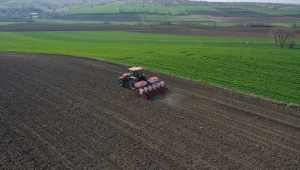 Türkiye'nin önemli ayçiçeği üretim merkezlerinden Edirne'de ekim mesaisi başladı