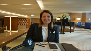 Avrupa Konseyi'nin çocuk haklarına yönelik "Roma Stratejisi" belirlendi