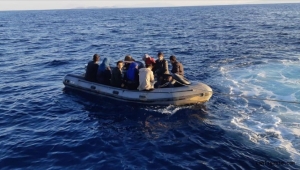 BM verileri Mart 2022 tablosuna göre Kayseri'de kaç Suriyeli sığınmacı var?