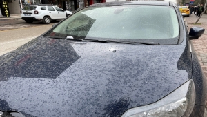 Bolu'da toz taşınması nedeniyle yağmurla birlikte çamur yağdı