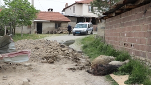 Denizli'de çöken ağıldaki 7 küçükbaş hayvan telef oldu