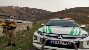 Erzincan'da bulunan yaralı kaya kartalı tedaviye alındı