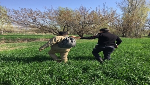 Erzincan'da göçmen kaçakçılığı yaptıkları iddiasıyla 7 zanlı tutuklandı