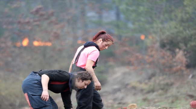 GÜNCELLEME 2 - Bursa'da ormanlık alanda çıkan yangınlara müdahale ediliyor
