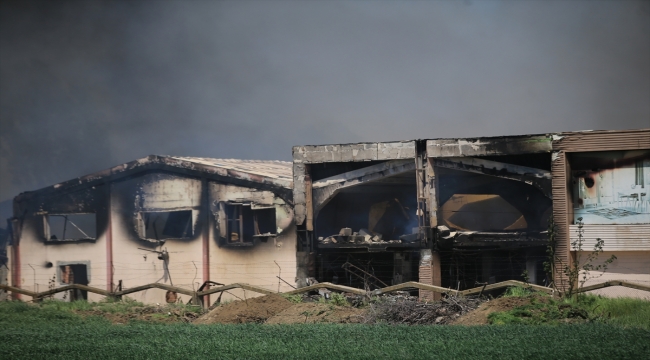 GÜNCELLEME 2- Kırklareli'nde mobilya fabrikasında çıkan yangın söndürüldü