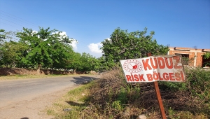 Hatay'da bir mahalle kuduz karantinasına alındı