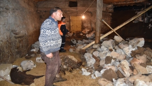 Kars'ta çöken ahırdaki yaklaşık 70 küçükbaş hayvan telef oldu