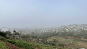 Kocaeli ve Sakarya'da sis etkili oluyor