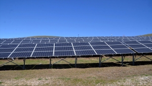 Muş'ta üç girişimci 20 dönümlük araziye güneş enerjisi santrali kurdu 