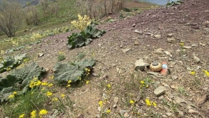 Pençe-Kilit Operasyonu'nda terör örgütüne ait çok sayıda mühimmat ele geçirildi