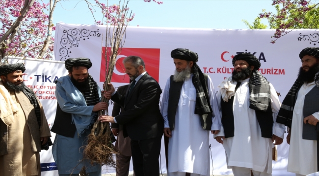 TİKA, Afganistan'a 20 bin meyve fidanı bağışladı