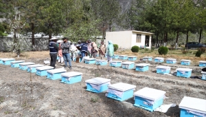 TİKA'dan Pakistan'da arıcılık alanında faaliyet gösteren kadınlara destek