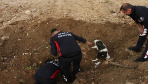 Tokat'ta toprak altında kalan köpek ve yavrularını itfaiye kurtardı