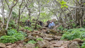 Yabanardı ve Şeyhandede şelaleleri "Mezopotamya" turizm rotasında yerini alacak