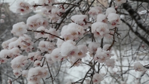 Yozgat, Sivas ve Nevşehir'e nisanda kar yağdı