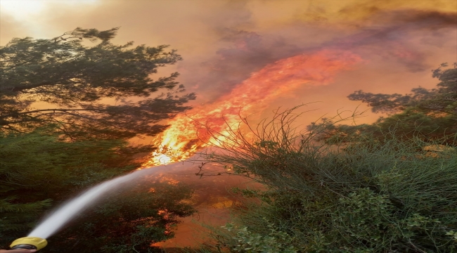 Adana'da çıkan orman yangına müdahale ediliyor