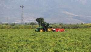 Adana'da patates ve soğan hasadı devam ediyor