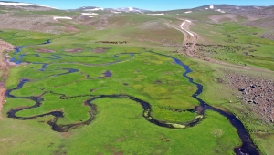 Ağrı'da platolar arasındaki mendereslerde bahar güzelliği 