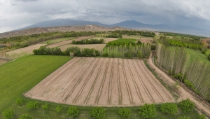 Ağrı Dağı'nın eteğindeki vaha: İrem Bağları