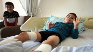 Bingöl'de sahipsiz 4 köpeğin saldırısına uğrayan çocuk yaralandı