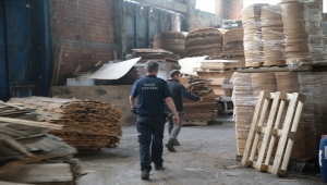 Bolu'da fabrikanın deposunda 2 tilki yavrusu bulundu