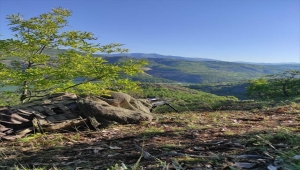 Elazığ'da Eren Abluka-11 Şehit Jandarma Uzman Çavuş Rıstam Çetin Operasyonu başlatıldı